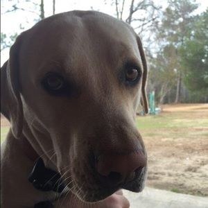 Meet your Posher, Keith